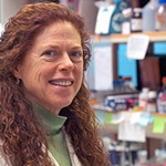 Dr. Elizabeth Simpson Awarded Fighting Blindness Research Grant