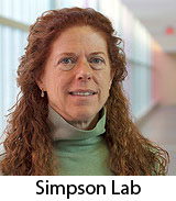 Simpson lab page