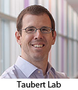 Taubert lab page
