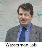 Wasserman lab page